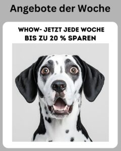 Angebote der Woche