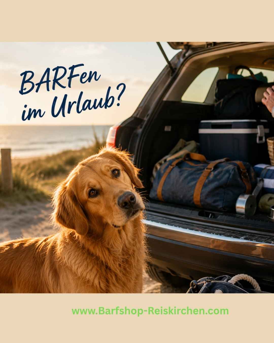 Barfen im Urlaub