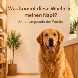Bruno zeigt Aktionsangebote